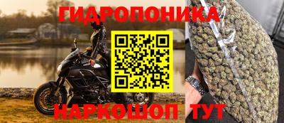mdpv Аргун