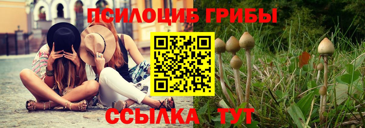 Псилоцибиновые грибы мицелий Белогорск
