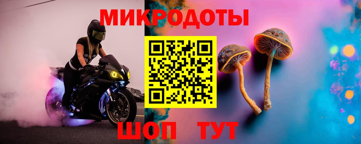 Галлюциногенные грибы GOLDEN TEACHER  Вход с VPN  Белогорск 